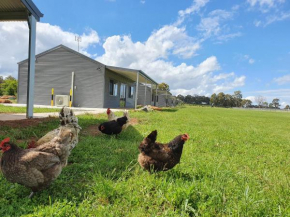 Wilkens Estate Farmstay- Country experience with modern conveniences, cooling, heating, free WIFI and pet friendly, Millthorpe